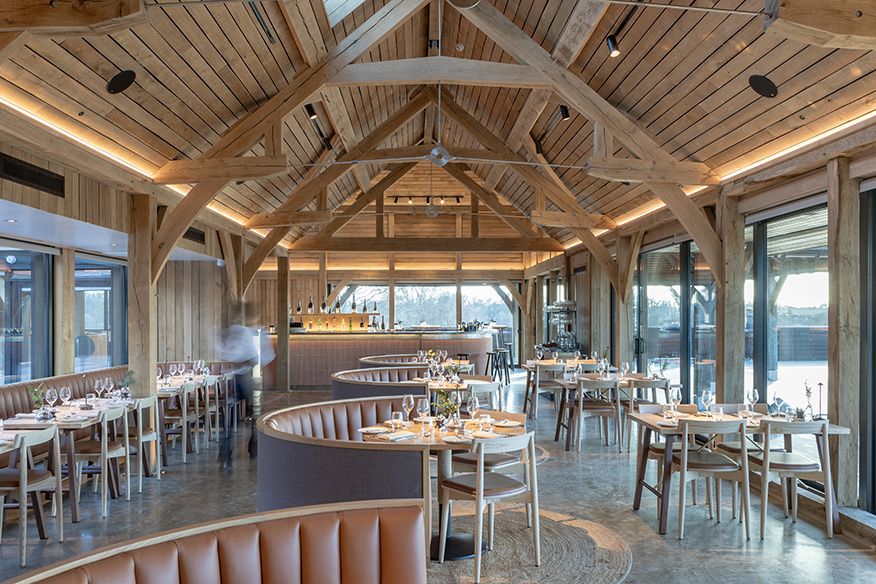 Hambledon Vineyard